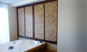aniamo_anwendung_wellnes_wand