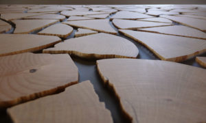 aniamo_hirnholz_design