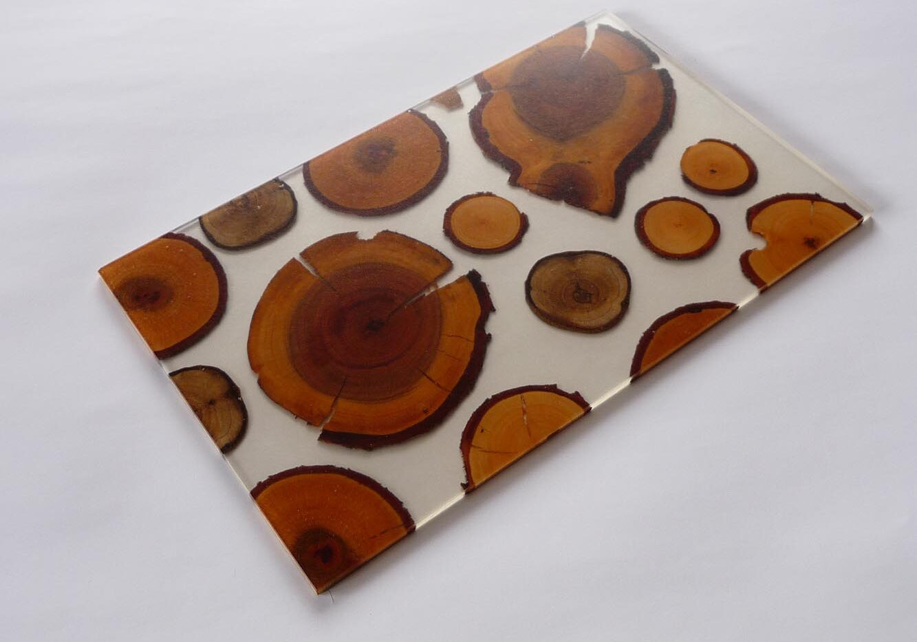 aniamo Hirnholz Laubholz j