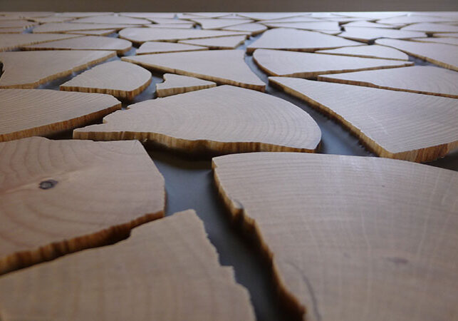 aniamo_hirnholz_design